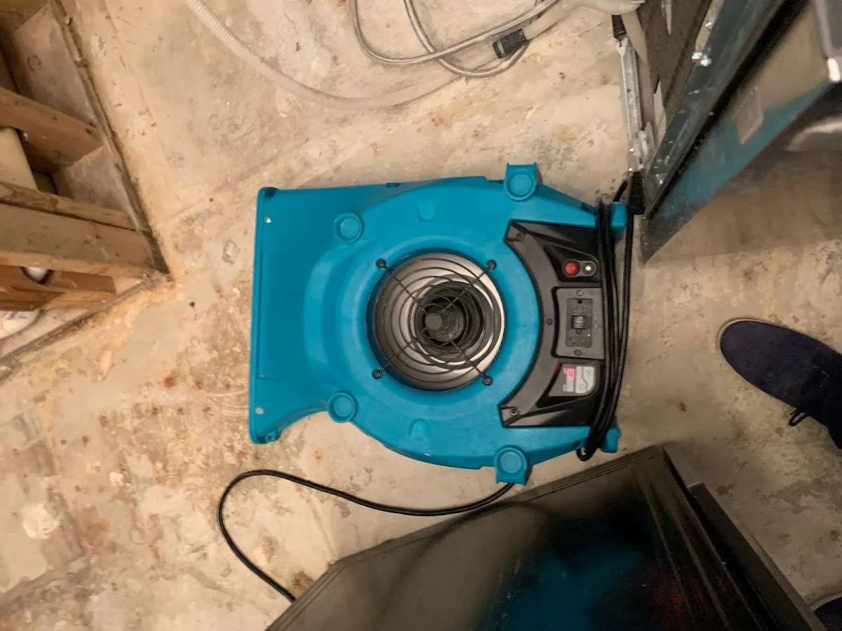 Air mover drying equipment for Mold Remediation & Removal in Pascagoula